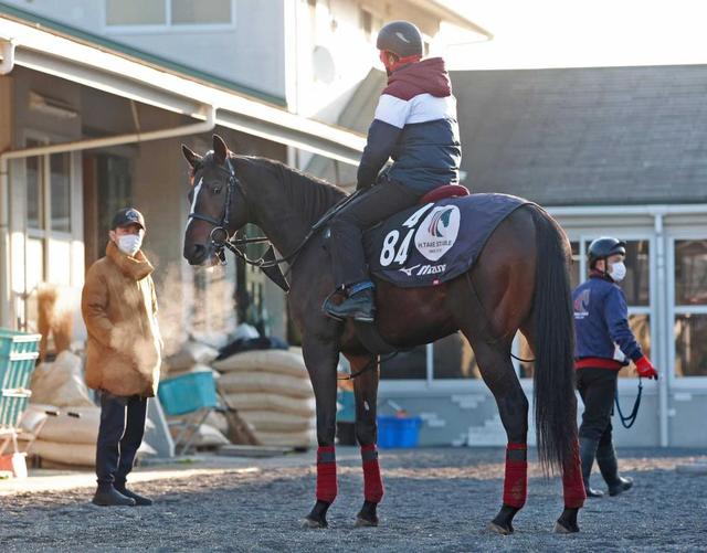 【きさらぎ賞】素質馬シェルビーズアイ　看板馬Ｖに続く　武英師「一発を秘めている」