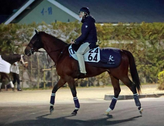 【東京新聞杯】ワールドバローズ　真価発揮だ　左回りで無類の強さ　中１週でも侮れない