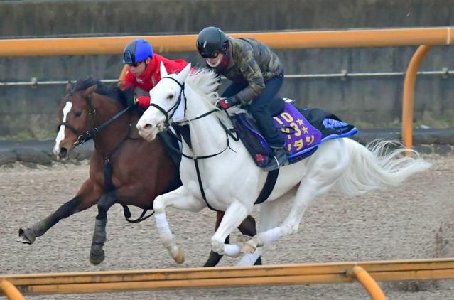 ソダシ　フェブラリーＳに登録へ 須貝師「ダートが駄目と思っていない」