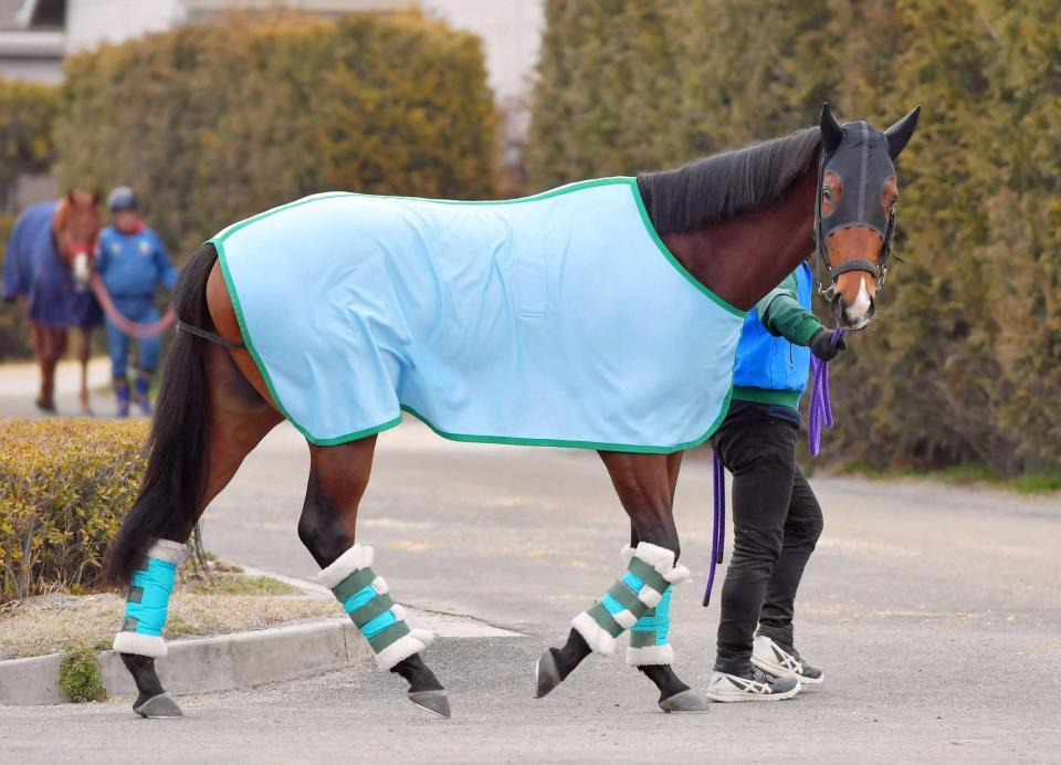 　タイトルゲットを狙うエアアネモイ（撮影・石湯恒介）