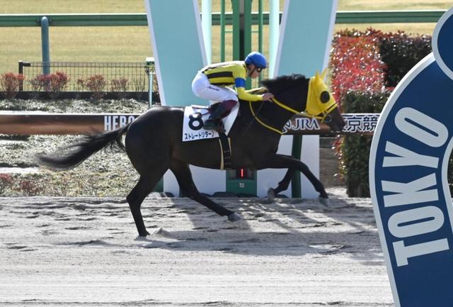 【ＰＯＧ】ストレートリターン直線かわし勝利　横山武「新馬戦としては好内容」