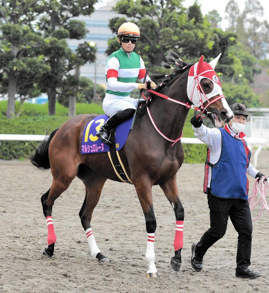 　マルシュロレーヌ