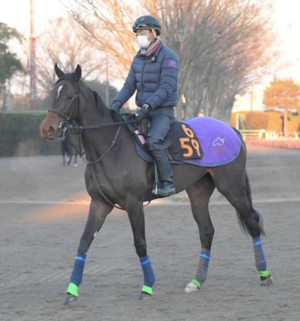 　未勝利戦を勝った府中で重賞初Ｖを狙うスターズオンアース