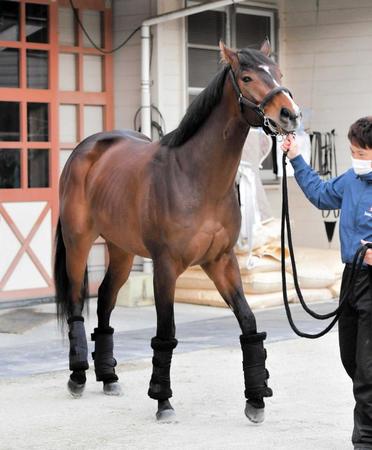 　重賞初制覇を目指すダノンスコーピオン