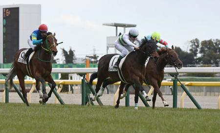 この世代最後の芝の新馬戦を制したロールアップ