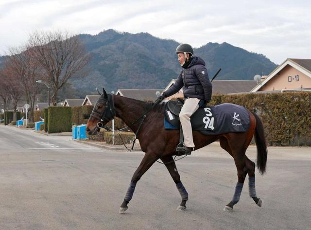 【デイリー杯クイーンＣ】スタティスティクス　反撃へ上昇一途　府中の直線で真価発揮