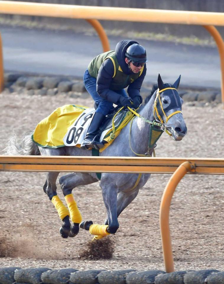 　火曜追いを敢行したマリアエレーナ（撮影・石湯恒介）