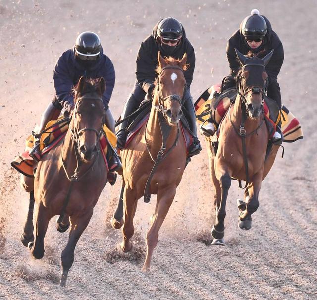【共同通信杯】ジオグリフ 及第点　陣営「まずまず順調」メンバー唯一の重賞勝ち馬