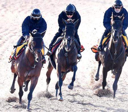 ９日に３頭併せで追い切ったプレサージュリフト（中央）
