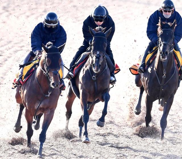【阪神＆東京の危険な人気馬】東京１１Ｒ　プレサージュリフト