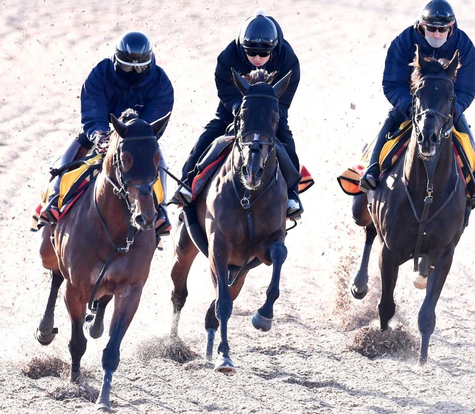 ９日に３頭併せで追い切ったプレサージュリフト（中央）