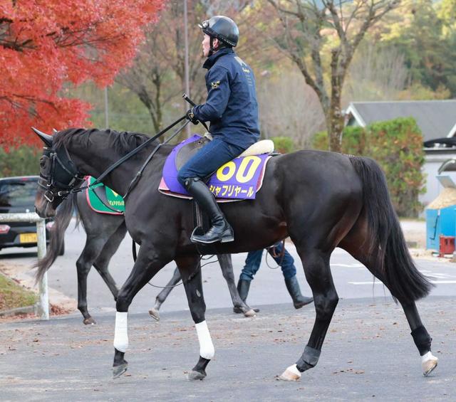 ダービー馬シャフリヤール　ドバイＳＣはＣ・デムーロと新コンビ