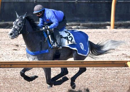 　単走でストライドを伸ばしたグレイイングリーン（撮影・石井剣太郎）
