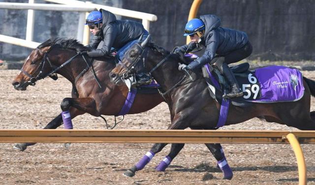 【弥生賞】ドウデュース　極上切れ味　ＯＰ級の僚馬２頭相手に最先着