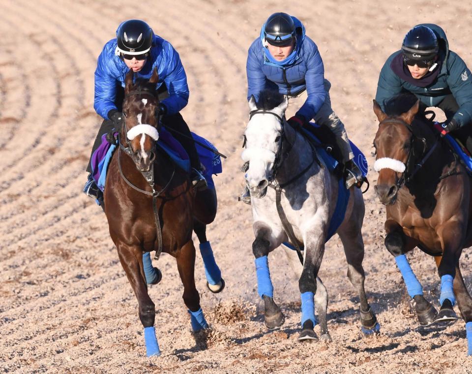 　順調ぶりをアピールするサークルオブライフ（左）＝撮影・園田高夫