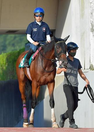 新馬戦以来となるルージュスティリアも注目の１頭だ