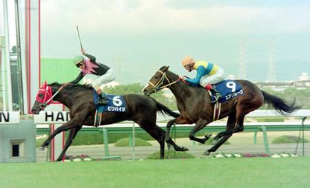 阪神３歳牝馬ステークスを制したビワハイジ（６）。２着・エアグルーヴ（９）＝１９９５年１２月３日、阪神競馬場