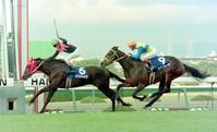 阪神３歳牝馬ステークスを制したビワハイジ（６）。２着・エアグルーヴ（９）＝１９９５年１２月３日、阪神競馬場