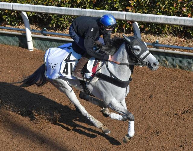 カレンモエ引退　社台ファームで繁殖馬に　安田隆師「よく頑張ってくれた」