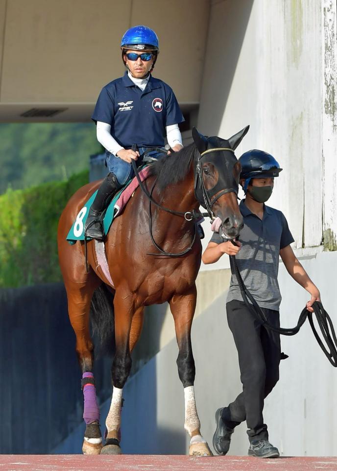 新馬戦以来となるルージュスティリアも注目の１頭だ