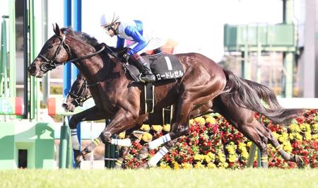 　９Ｒ・水仙賞を制したロードレゼル＝中山競馬場（撮影・園田高夫）