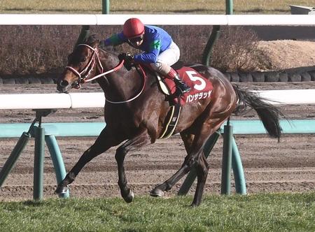 　逃げ切りＶを決めたパンサラッサ（撮影・園田高夫）