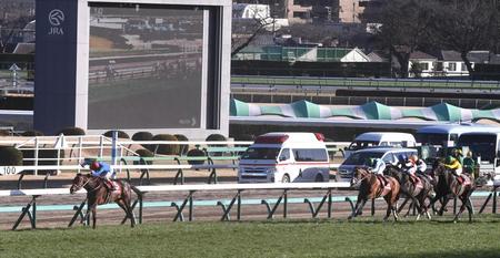 　逃げ切りＶを決めたパンサラッサ（左）＝撮影・園田高夫