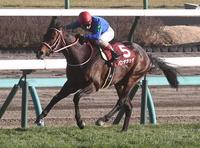 　逃げ切りＶを決めたパンサラッサ（撮影・園田高夫）