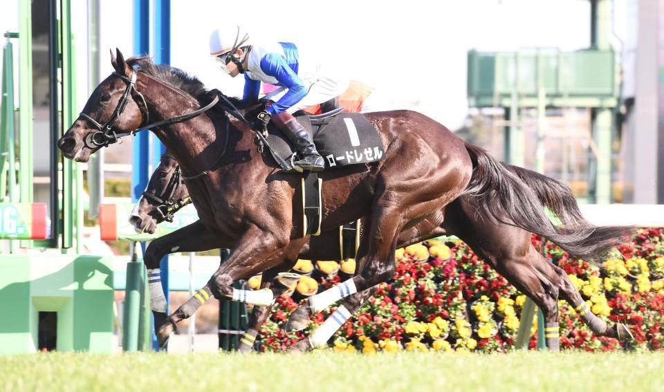 　９Ｒ・水仙賞を制したロードレゼル＝中山競馬場（撮影・園田高夫）