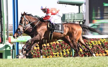 　９Ｒ・デイジー賞を制したルージュエヴァイユ（撮影・園田高夫）