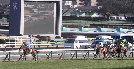 　逃げ切りＶを決めたパンサラッサ（左）＝撮影・園田高夫