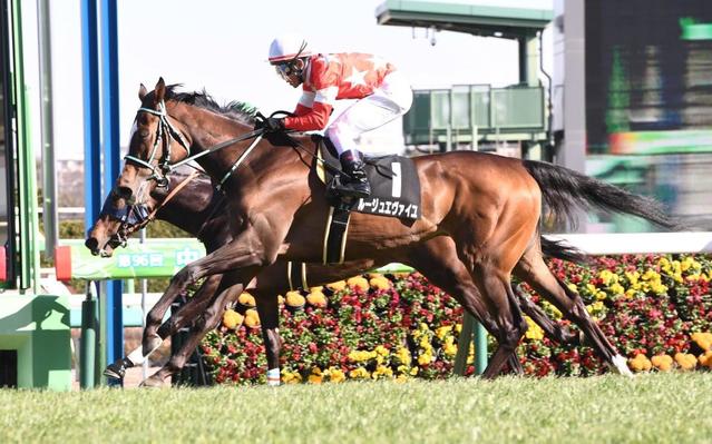 【デイジー賞】ルージュエヴァイユ　大外差し切りＶ　戸崎圭「最後はいい脚」