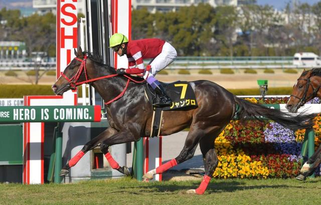 【マーガレットＳ】ジャングロ　オープン連勝　武豊「能力は高い」