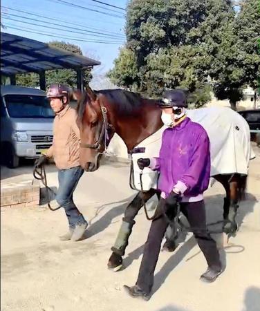 美浦トレセンに帰厩したエフフォーリア（鹿戸師提供）