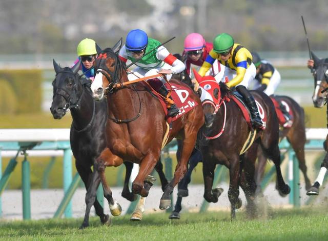 チューリップ賞 横山武 ナミュール 課題のゲート一発回答 桜へ夢ふくらむ重賞初v 競馬 レース デイリースポーツ Online チューリップ賞 横山武 ナミュール 課題のゲート一発回答 桜へ夢ふくらむ重賞初v 競馬 レース デイリースポーツ Online