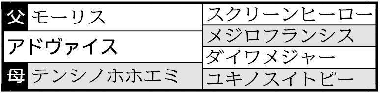 　松浦も感激したアドヴァイスの血統