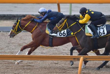 　栗東ＣＷでジャックドール（左）は鋭い動きを披露（撮影・石湯恒介）