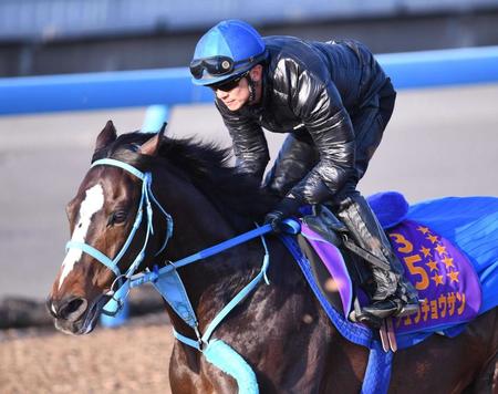 　石神を背に素軽い動きを見せたオジュウチョウサン（撮影・園田高夫）