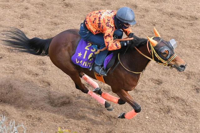 【金鯱賞】レイパパレ ぶち抜く　実戦想定　先行馬追うイメージで直線イッキに加速だ