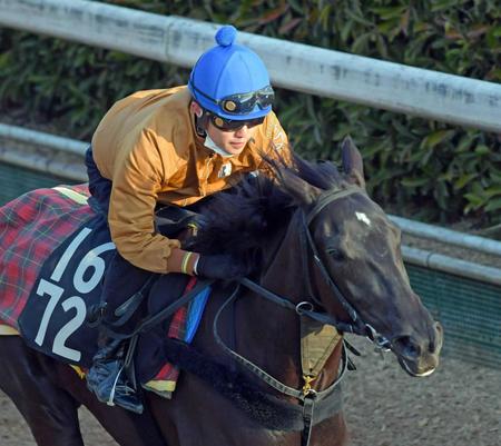 　川島を背に栗東坂路で力強い動きを見せたユキノプリンセス
