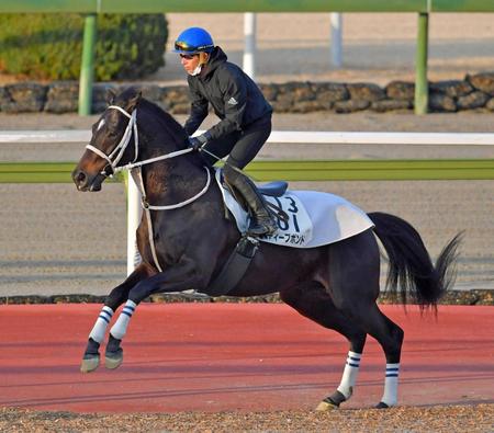 　本番へ弾みをつけたいディープボンド