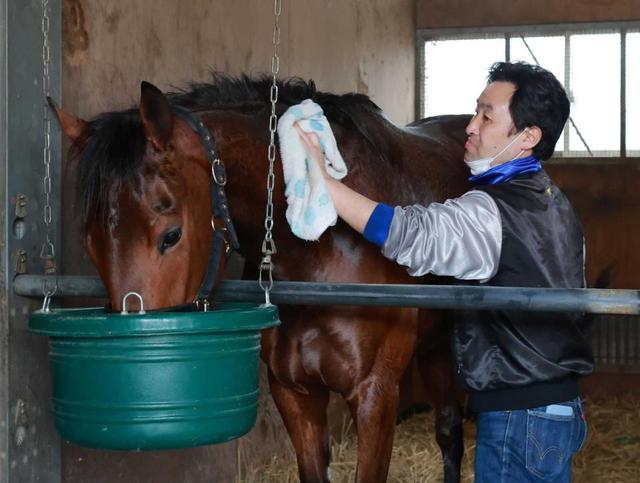 【フラワーC】キタサンシュガー 末脚強烈 父キタサンブラックと同じ馬房から出陣