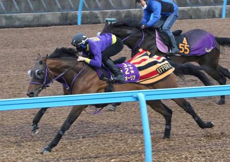 　美浦Ｗで貫禄の動きを披露したエフフォーリア（撮影・三好信也）