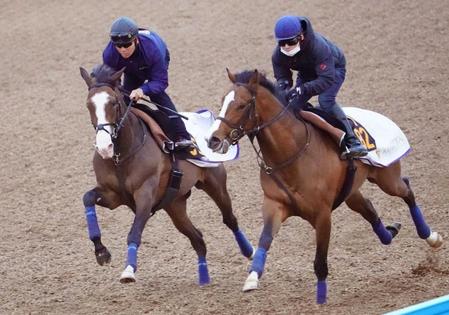 　美浦Ｗで馬体を弾ませたアライバル（左）＝撮影・三好信也