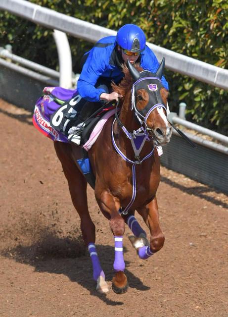 【スプリングS】ソリタリオ 鋭く加速 初コンビ横山武「理想的な調教できた」