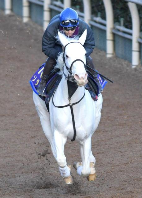 白毛馬ソダシはヴィクトリアＭ直行