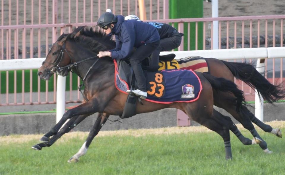 　美浦芝併せで追い切ったティズグロリアス（手前）＝撮影・三好信也