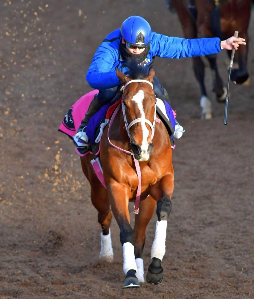 　横山武を背に圧巻のスピードを披露したレシステンシア（撮影・石湯恒介）