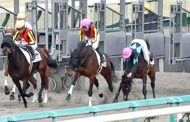 今村聖奈　初落馬…大事には至らず自力で検量室へ