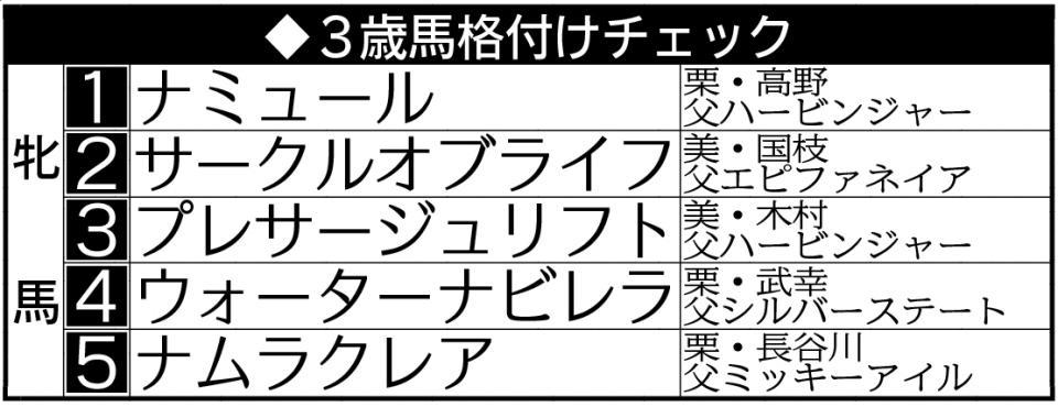 　３歳馬格付けチェック